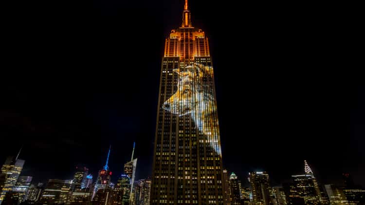 Vertical Photo of Empire State Building at Night New York 