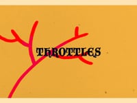 THROTTLES - ILLINGSWORTH