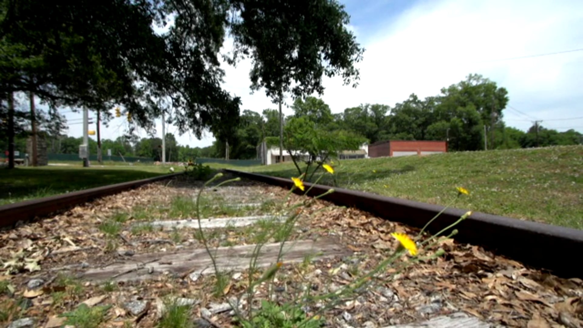 DRIVEN: Kevin Dodd My Draft Journey