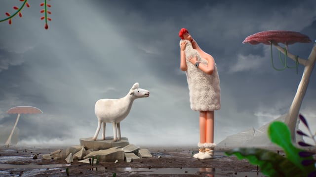 Wool Through Time