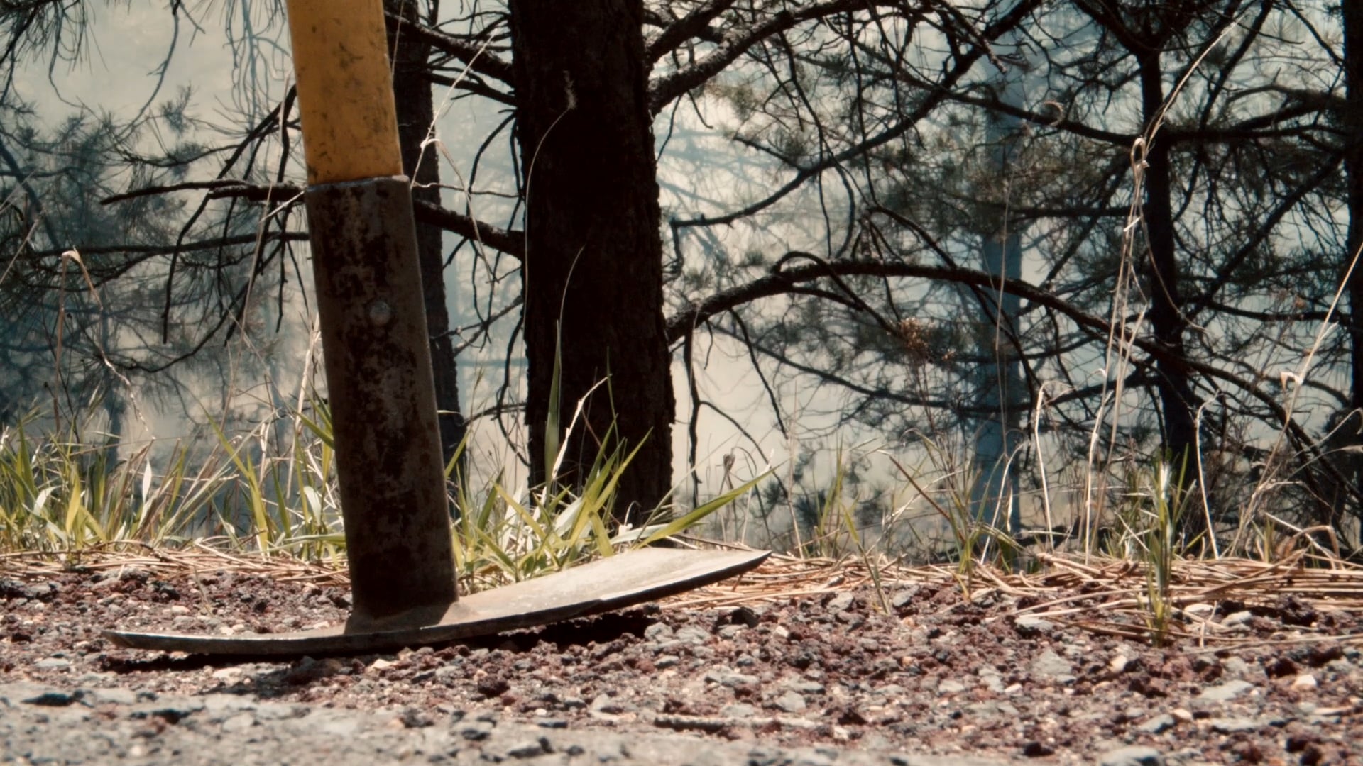 Living with Fire in the Grand Canyon