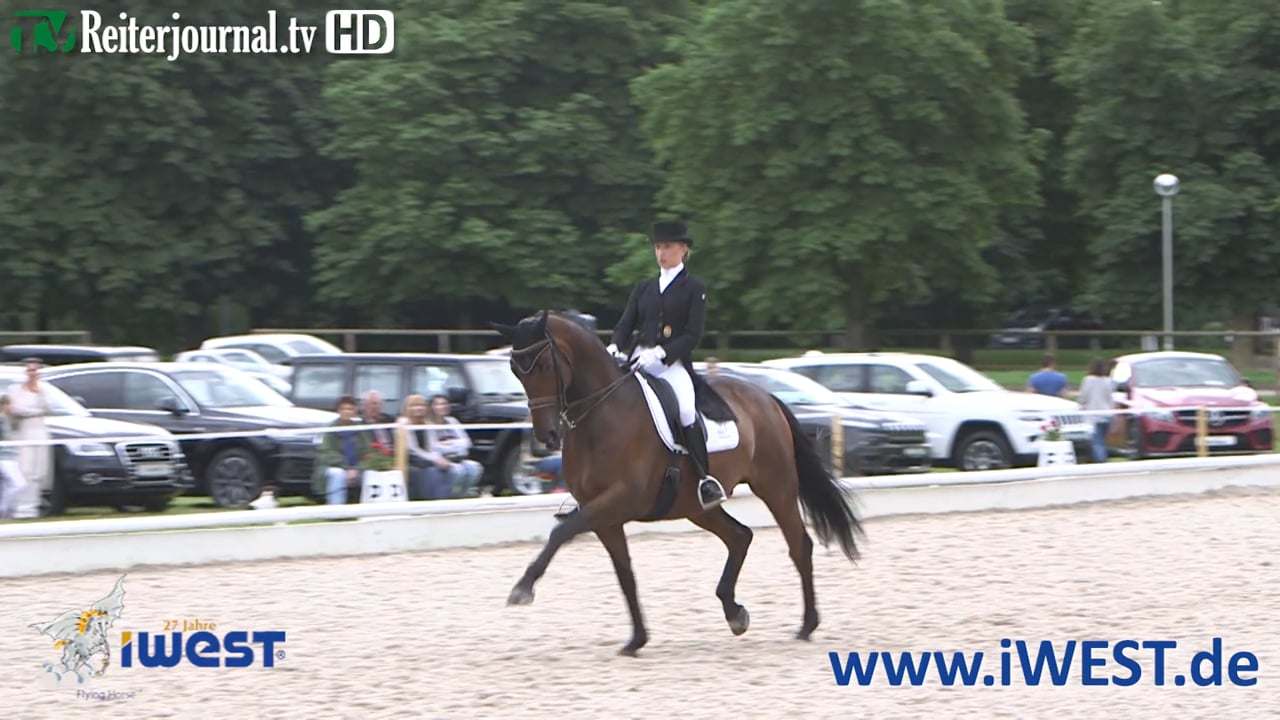 iWEST Dressur Cup Station Ludwigsburg 2016 - www.iWEST.de