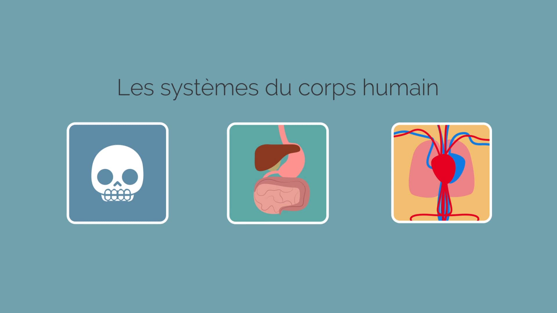 Systèmes vivants, 5e – Les systèmes du corps humain on Vimeo