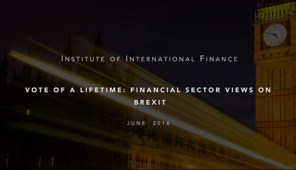 IIF - Sonja Gibbs - Vote of a Lifetime: Financial Sector Views on ...