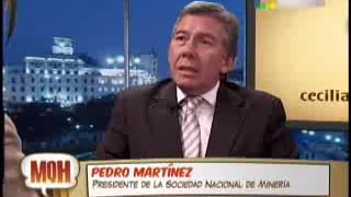 Entrevista a Pedro Martínez en Willax TV