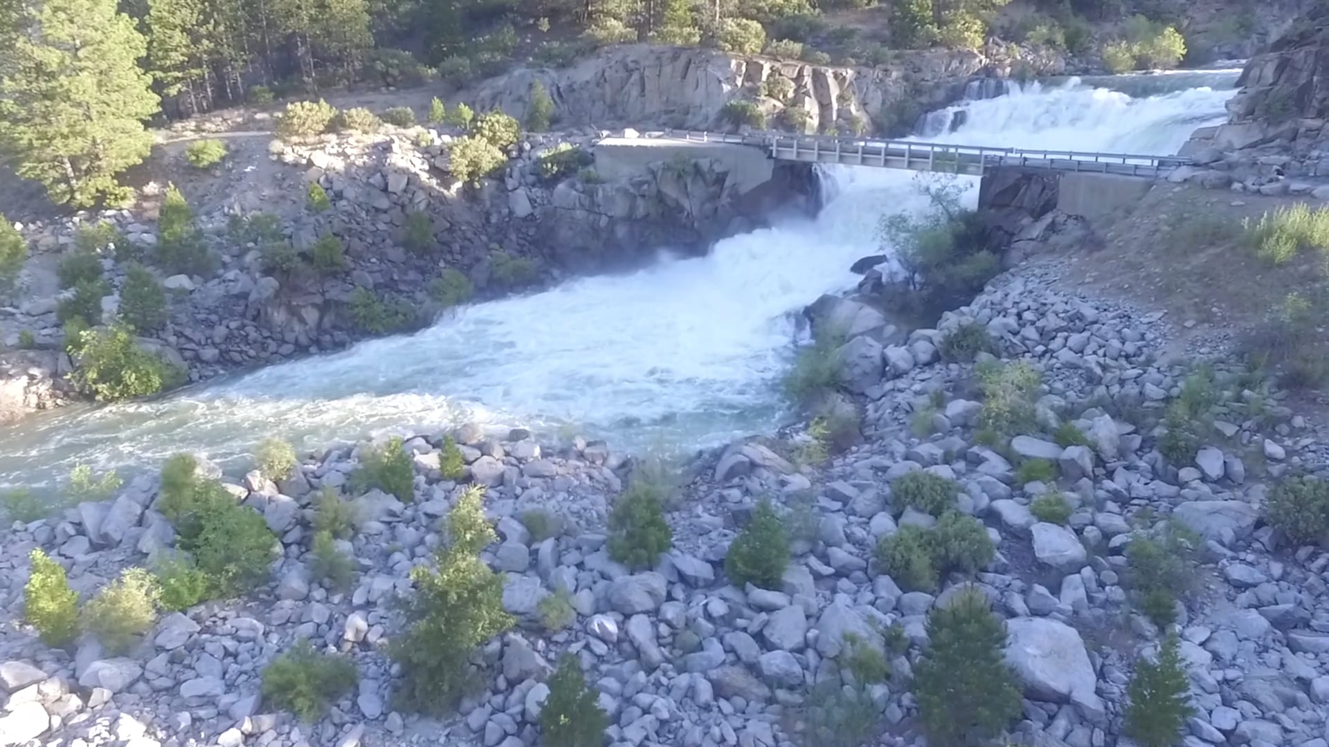 Strawberry to Beardsley