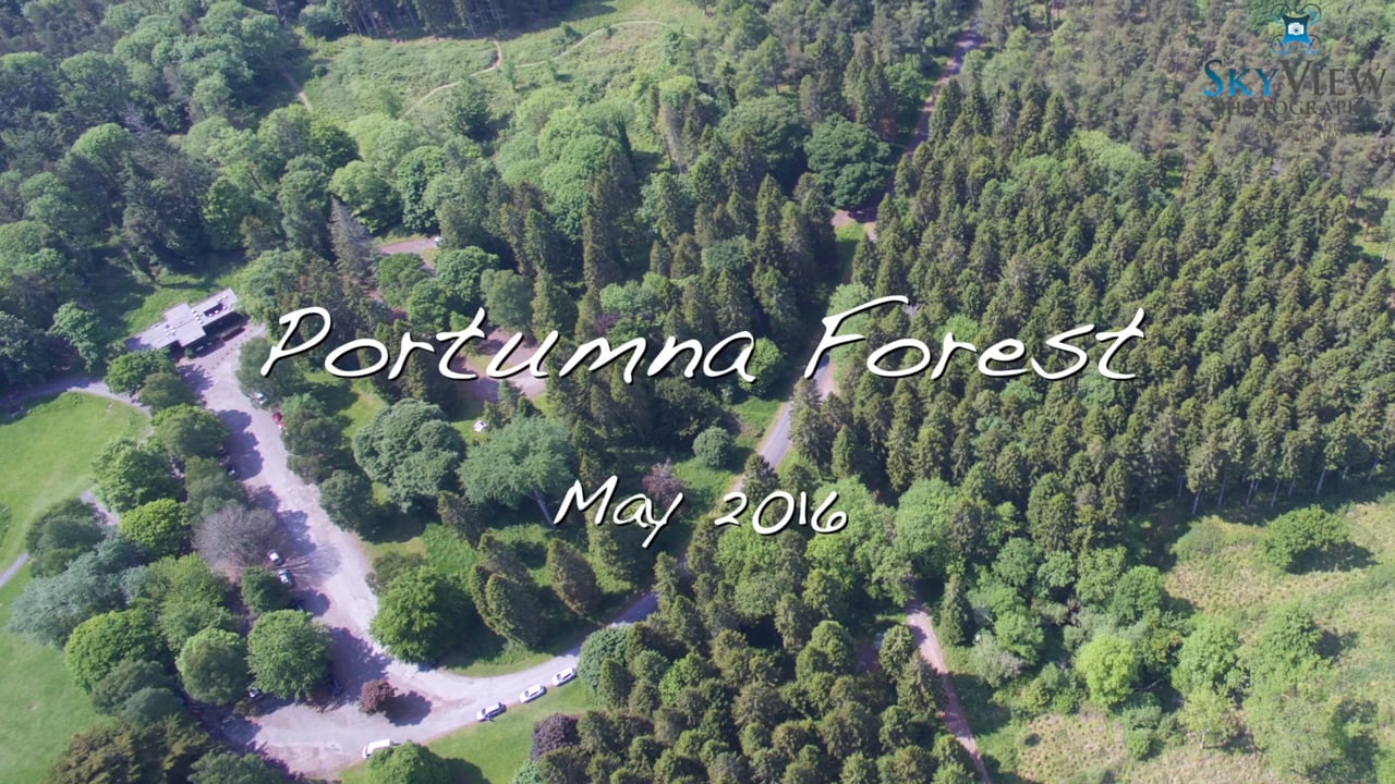A Hot Day Over Portumna Forest
