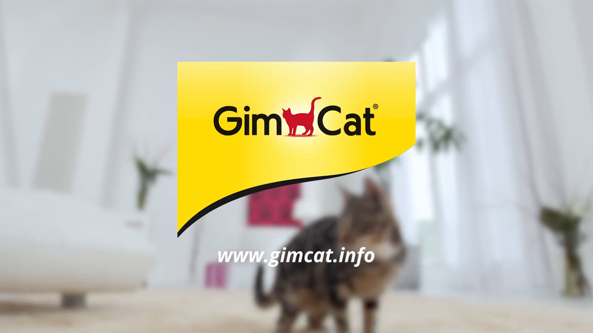 GimCat