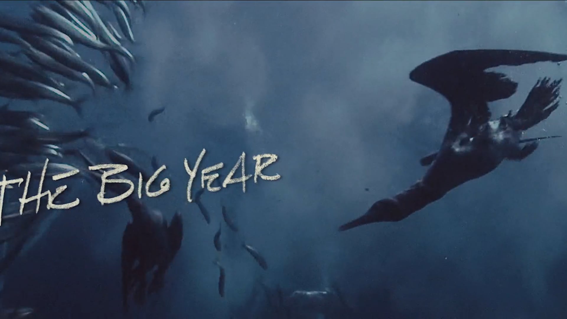 The Big Year - Main Title Sequence