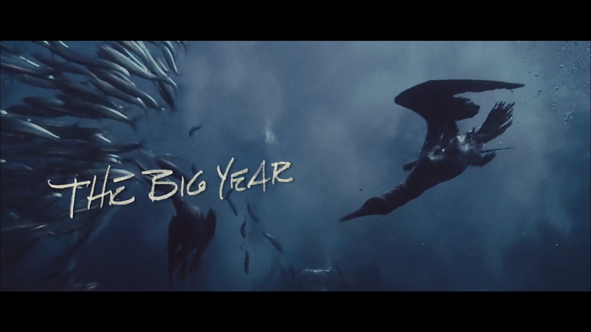 The Big Year - Main Title Sequence