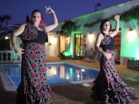 the travelling flamenco show