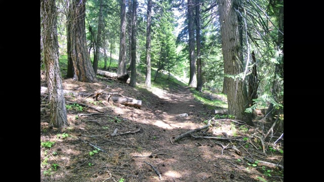 Boulder Park Walkin