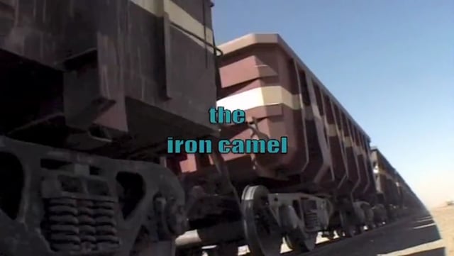 Iron camel (english)