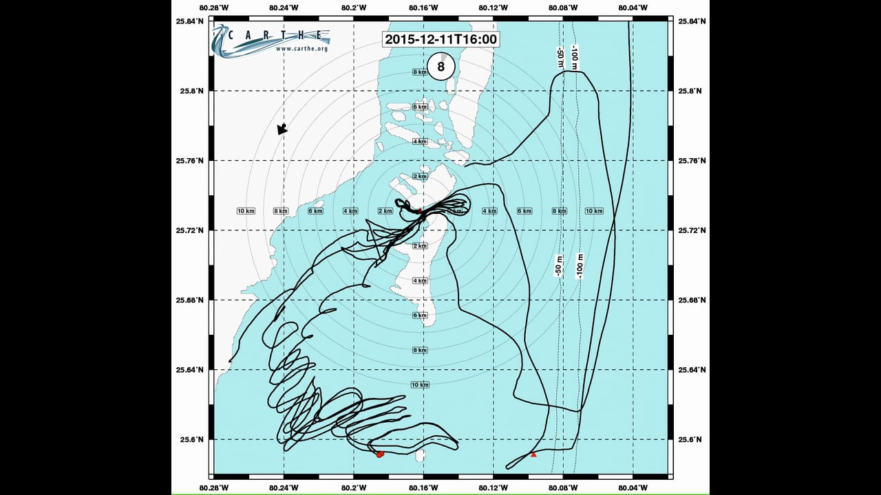 Operation Coral Cascade