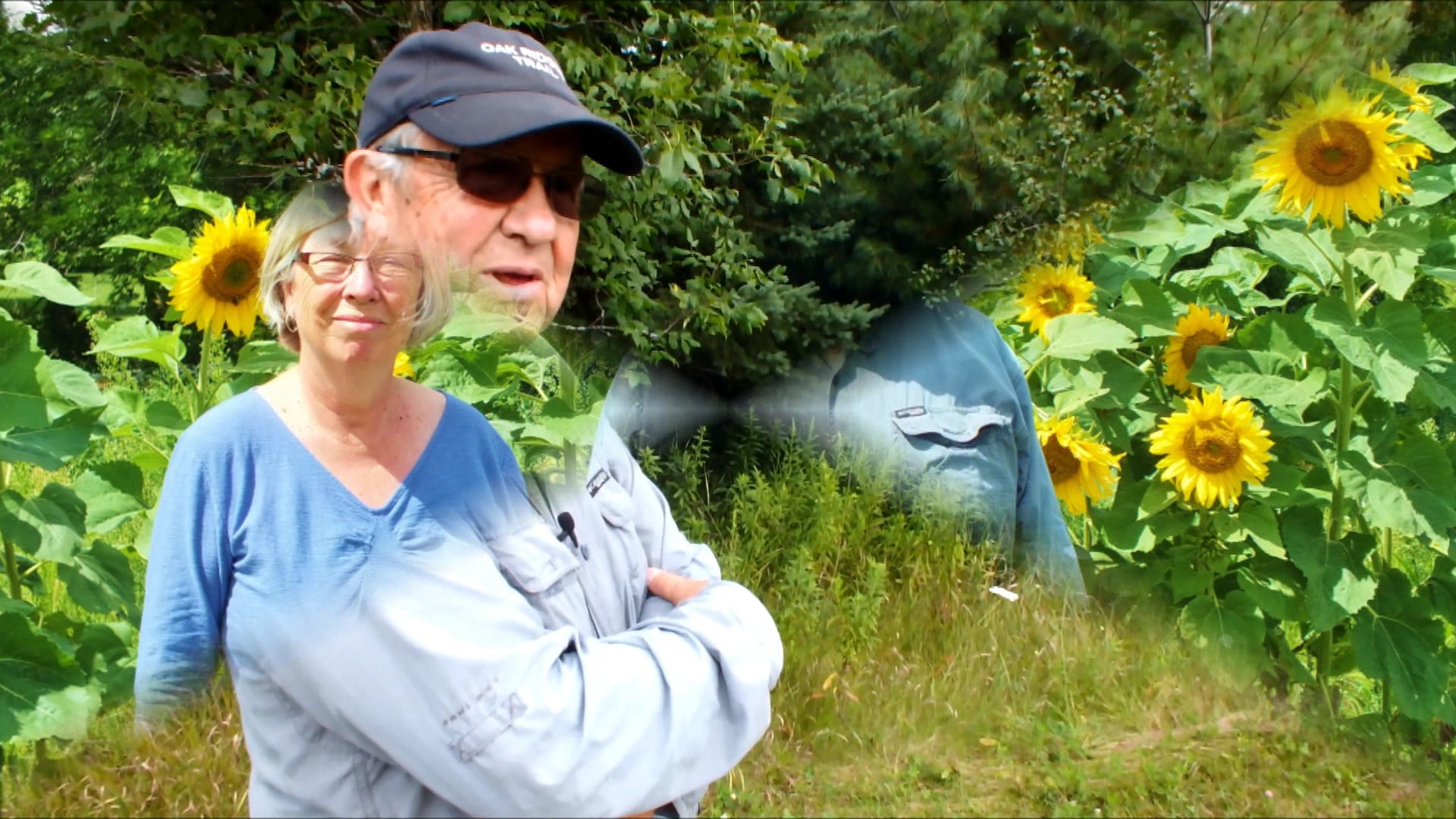 Interview with Alan Wells