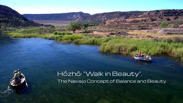 Fly Fish the San Juan River in New Mexico