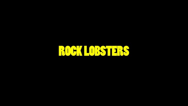 LICENSE TO CHILL | ROCK LOBSTERS from LICENSE TO CHILL