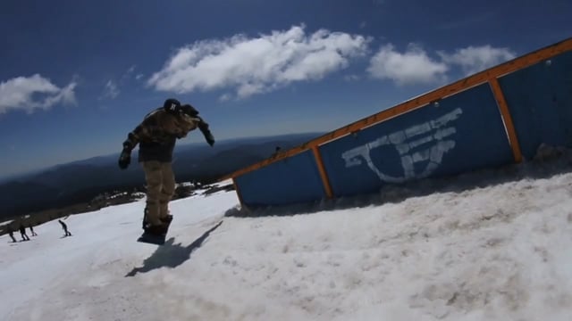 Freedawgersonly Timberline mayweather from Freedawgers Only