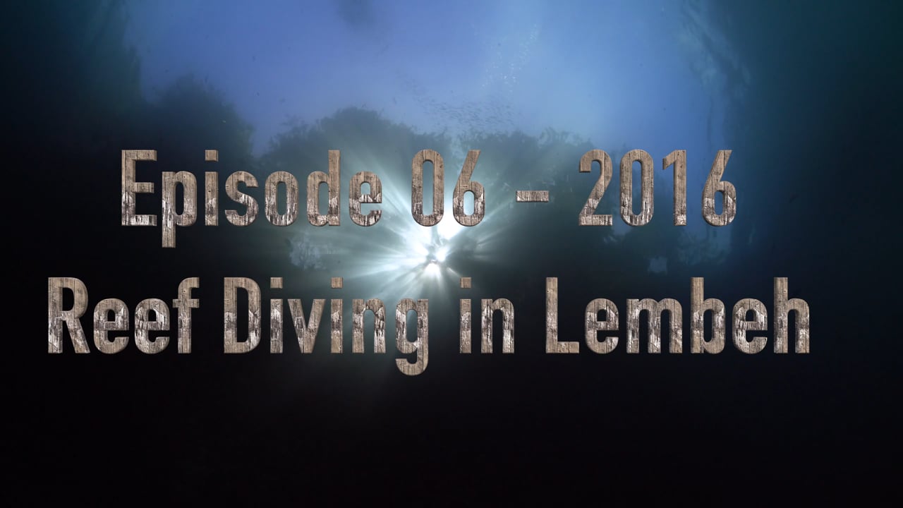 Critters of the Lembeh Strait | Episode 06 -  2016 - Reef Diving in Lembeh