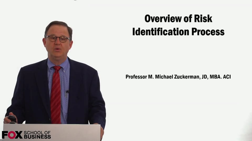 Overview of Risk Identificication Process