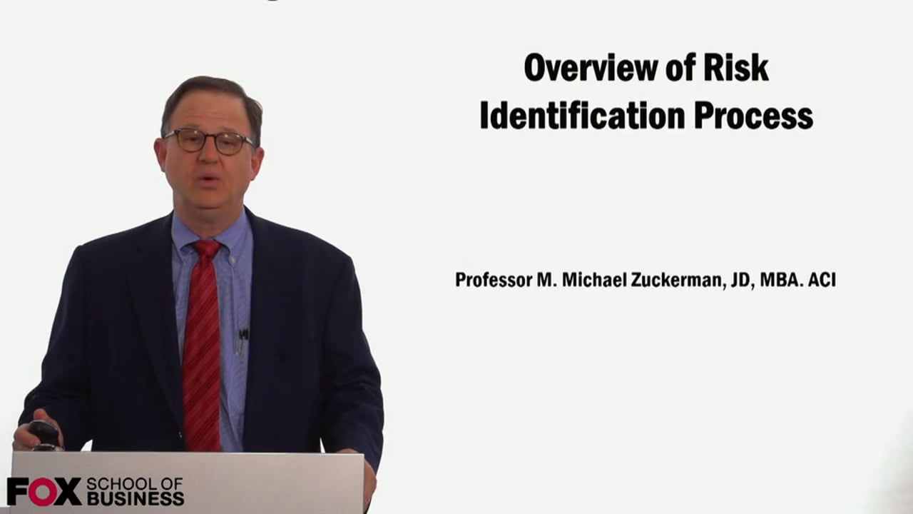 59049Overview of Risk Identificication Process