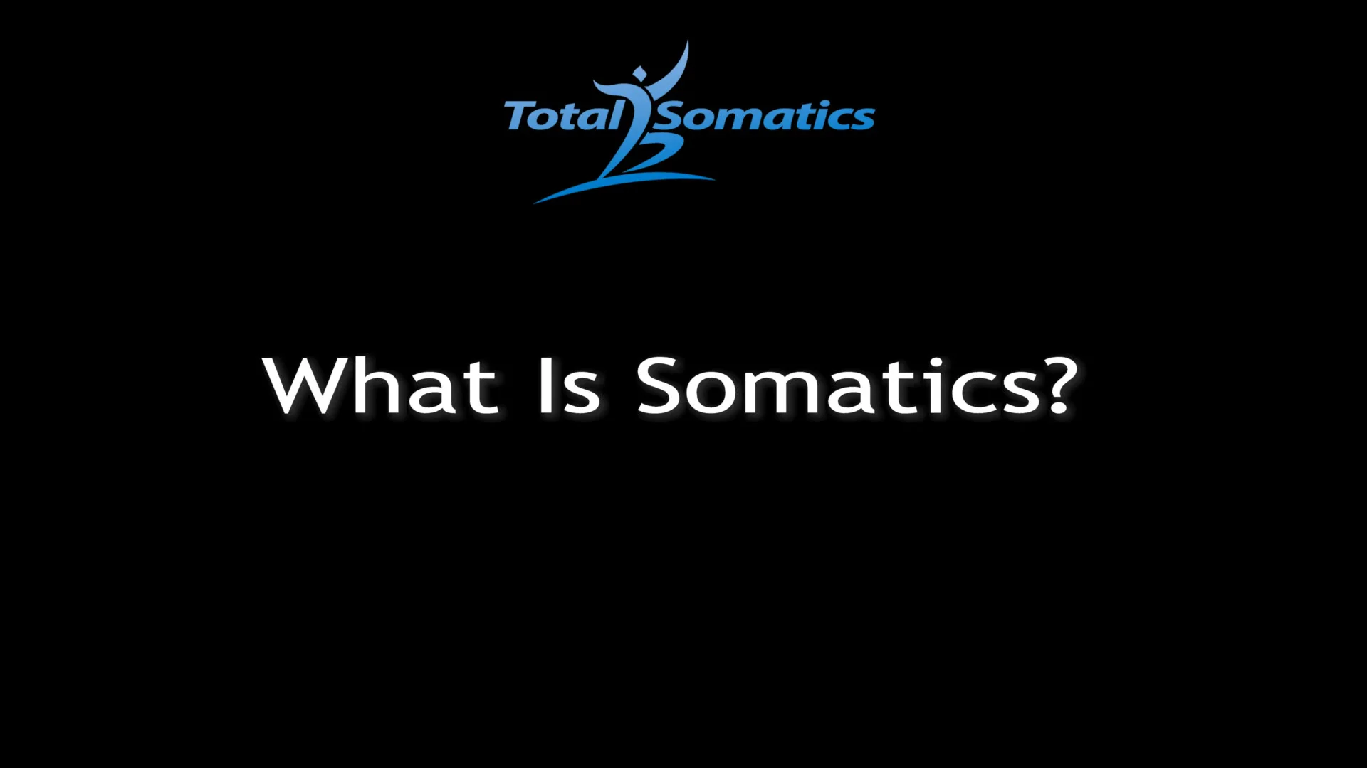 中古】 The Somatics TheSomatics
