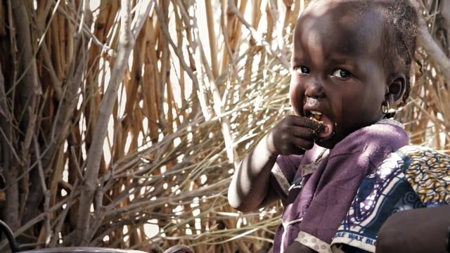 deVine Voices Native Spanish Castilian Female Voiceover WFP Charity Appeal