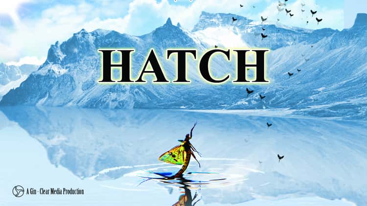HATCH - Fly Fishing DVD Trailer on Vimeo