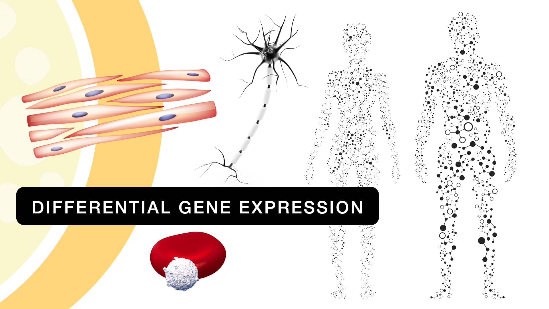 Differential Gene Expression on Vimeo