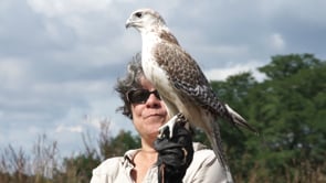 Community Moments: Audubon Society's Raptor Weekend