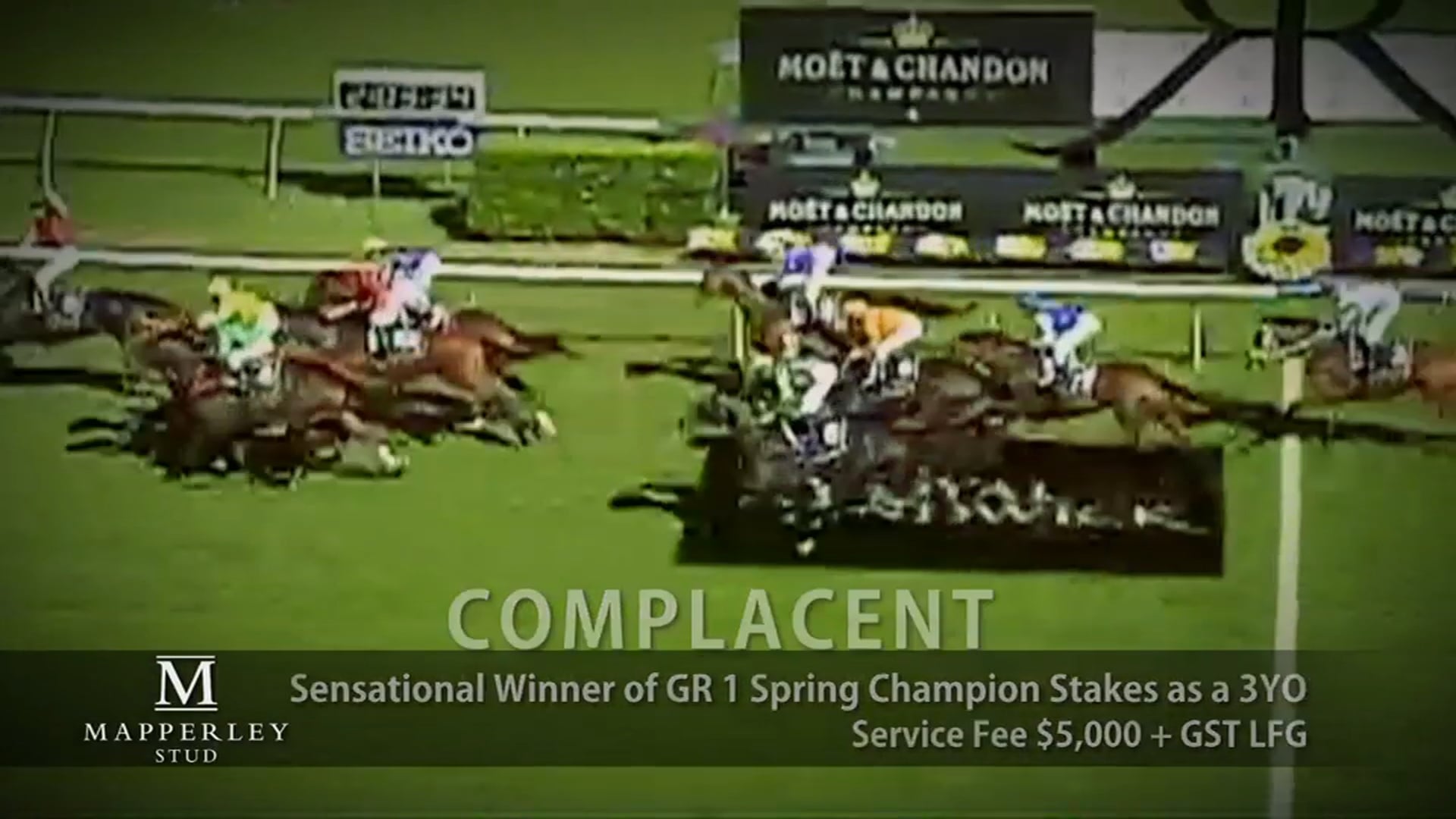 Introducing Mapperley Stud's 2016 Stallion Roster