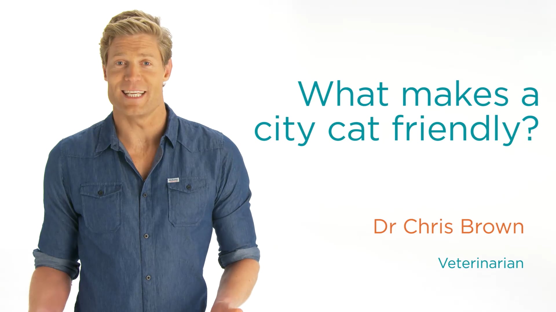 Chris Brown - What Makes A City Cat Friendly?