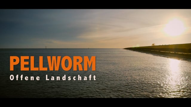PELLWORM, OFFENE LANDSCHAFT