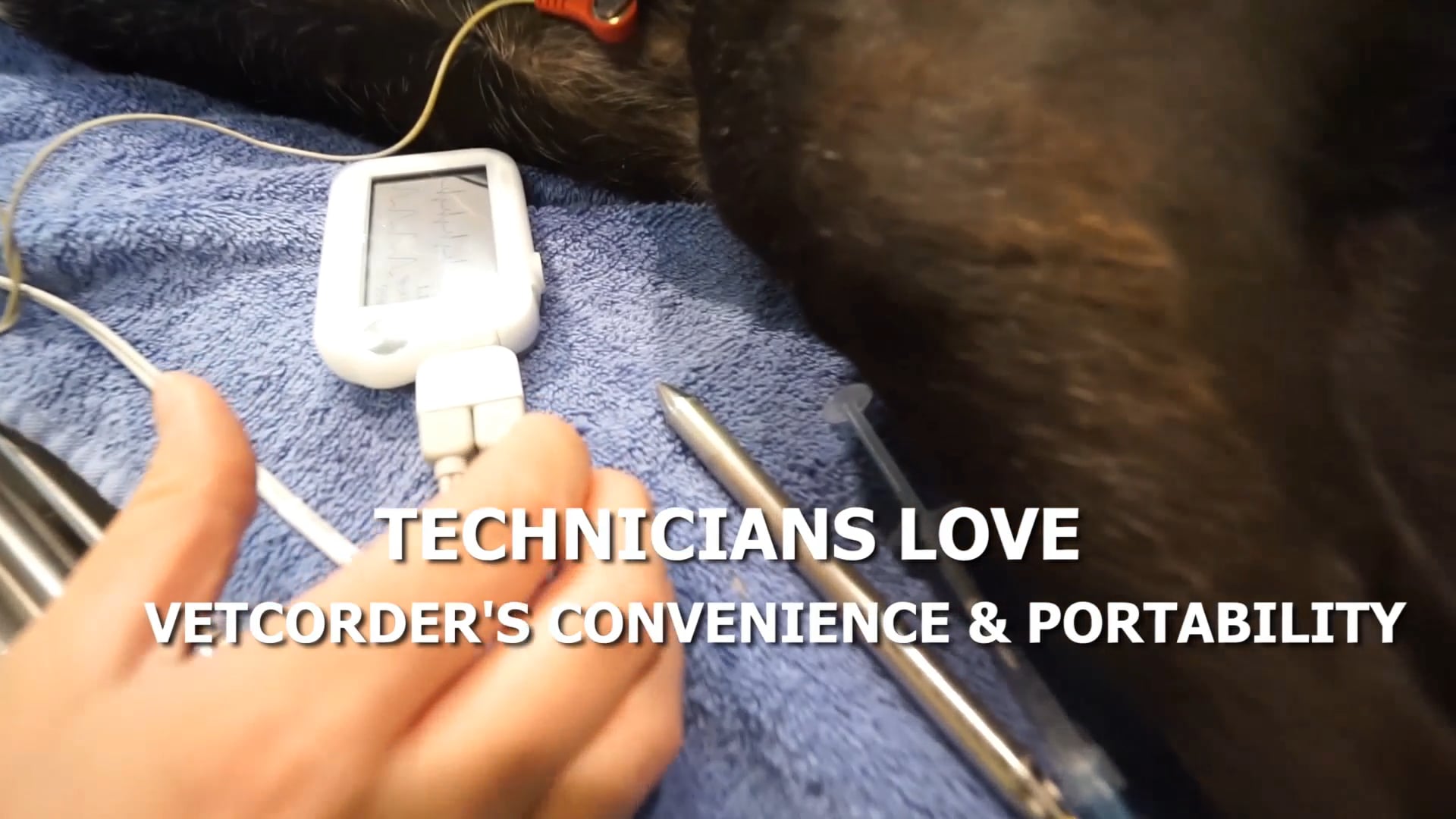 Sentier Vetcorder™ Portable Patient Monitor | Informational Video on Vimeo