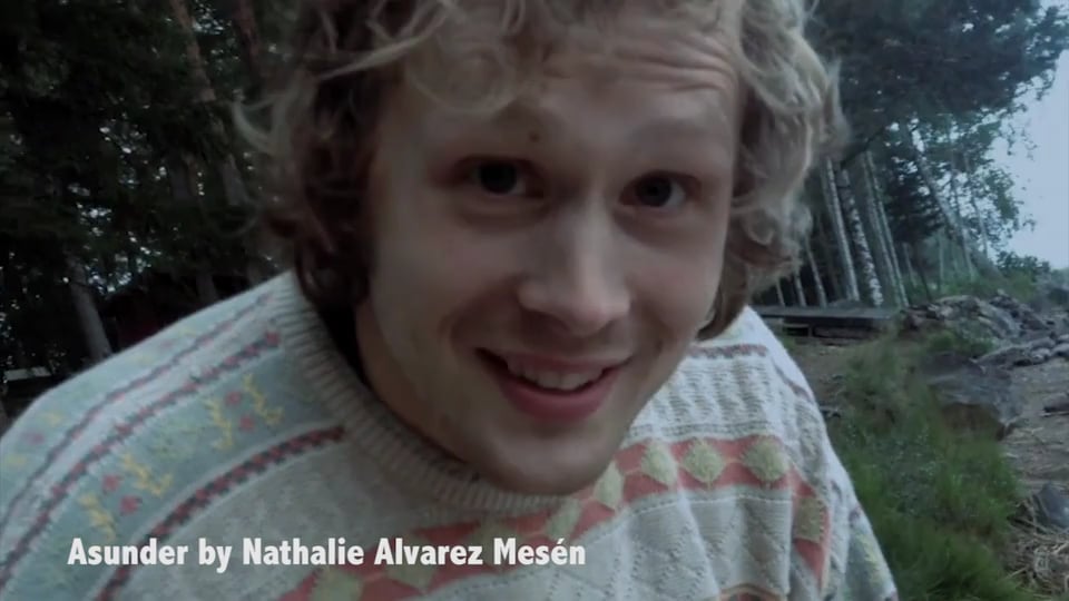 Skådespelarshowreel 2016 för Alexander Lindman.
