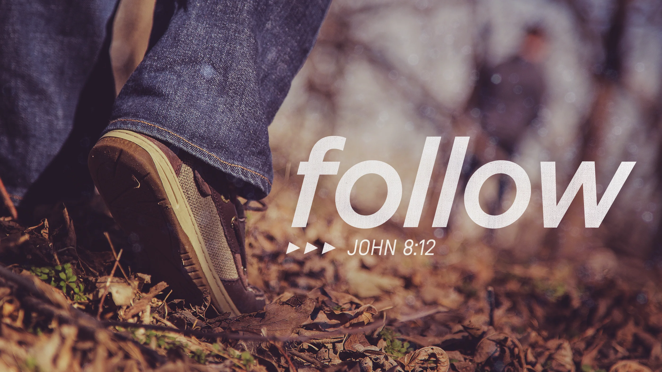 Силуэт женщины в очках. Follow. Follow your heart перевод. Why follow. Mufti menk.