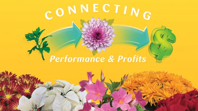 Goldfisch - Customer Success Story (Gary Falkenstein - Goldfisch)