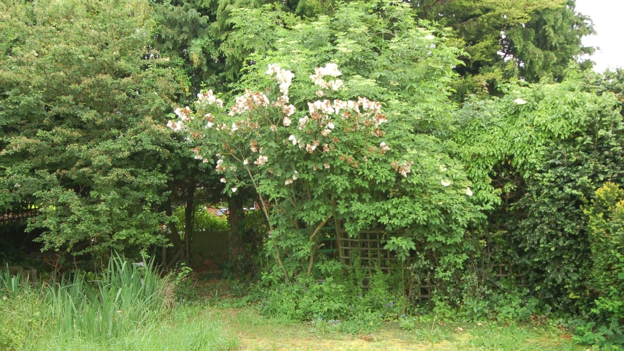 56 Westmead, Princes Risborough on Vimeo