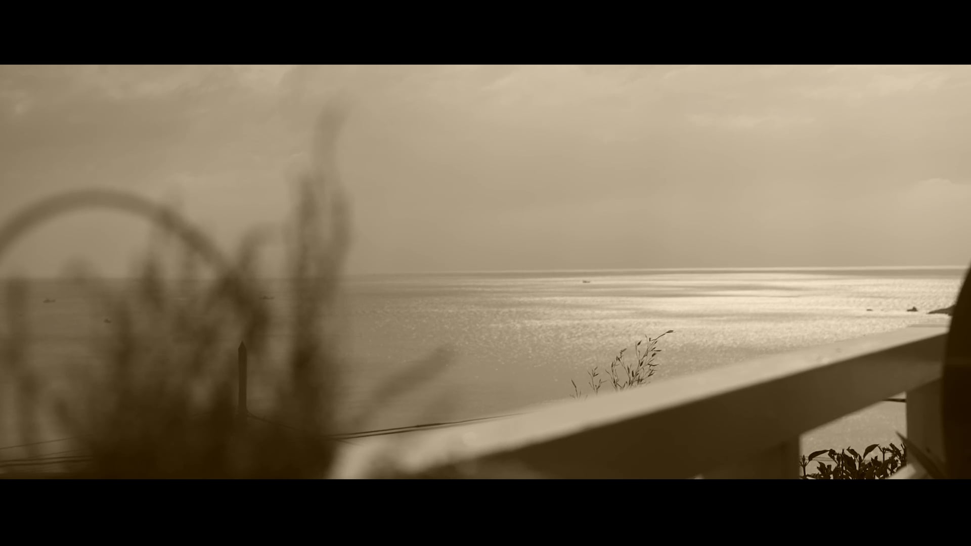 THE RUSTIC WEDDING  - OCEAN - by POINT MAKERS