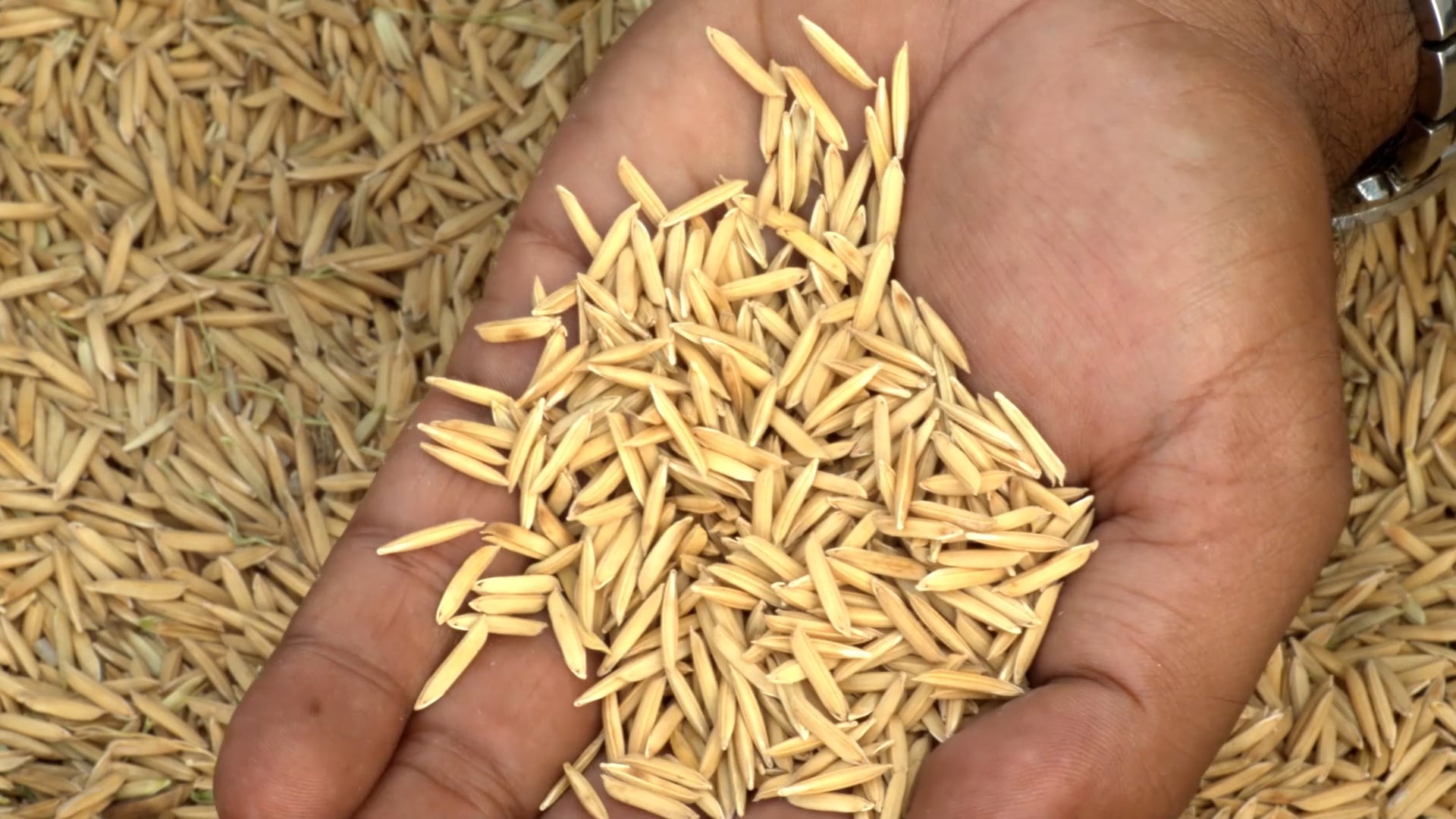 DuPont Galileo Product AV on Vimeo