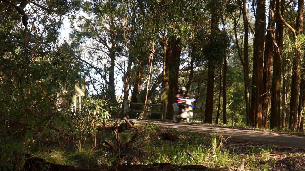 Robertson Back Roads