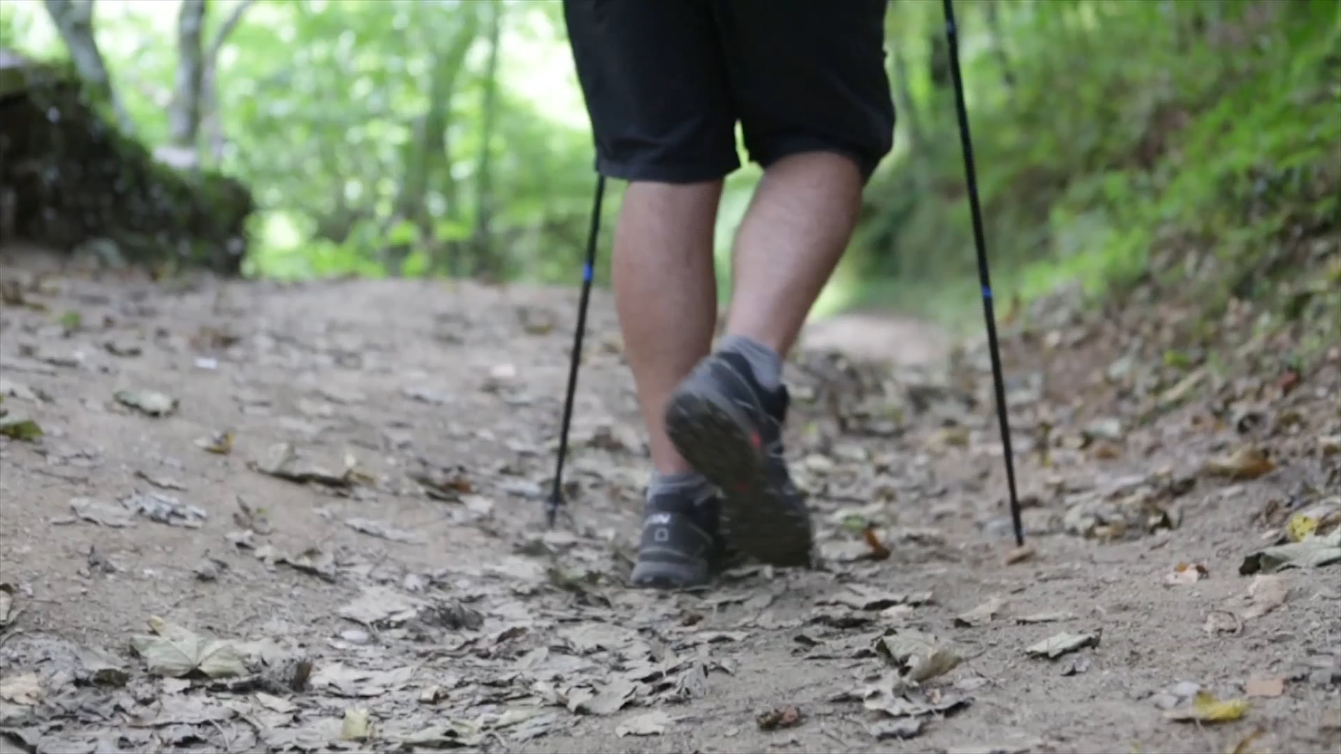 Pilgrim House Santiago Center Santiago De Compostela