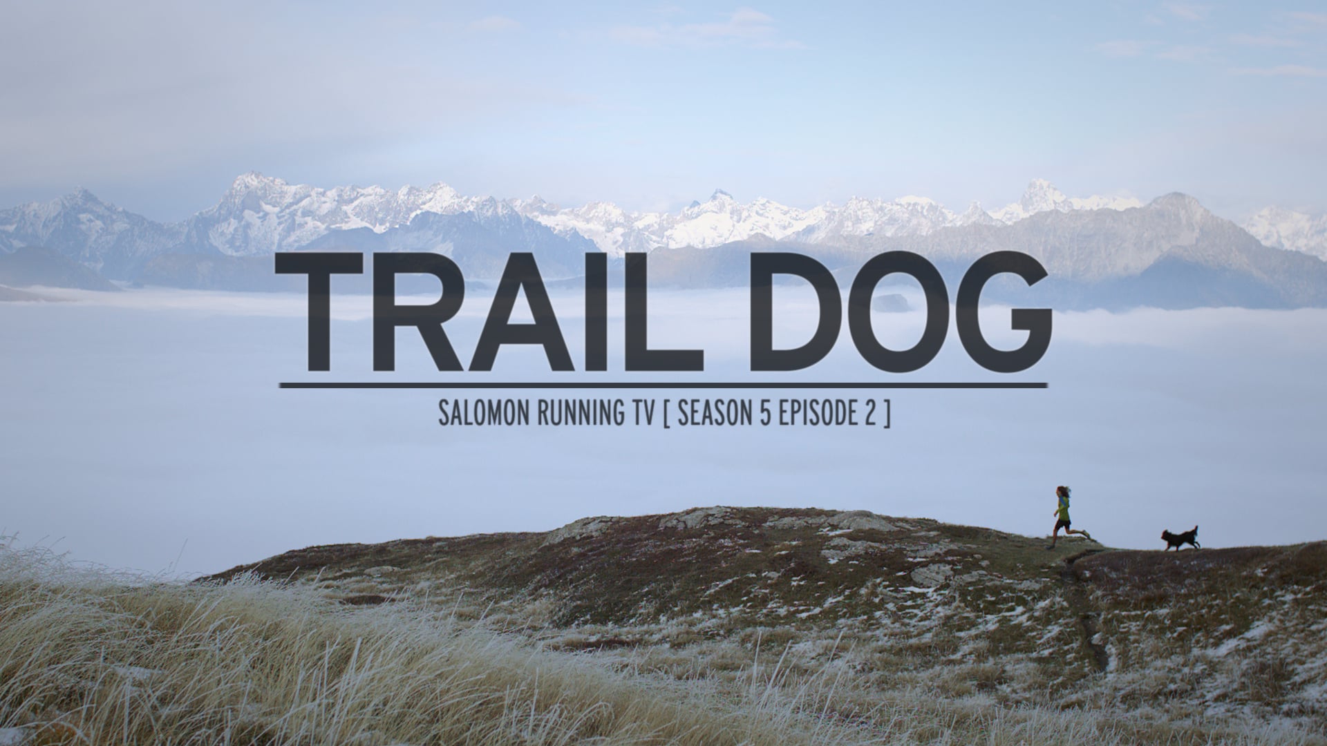 Trail Dog