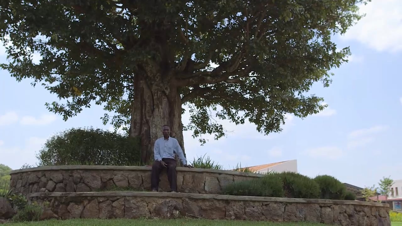 Still image from 'Nziza Cyane: Landscapes that Heal' video.