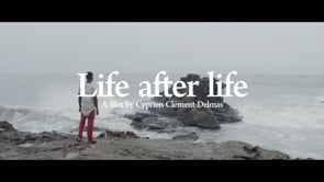 LIFE AFTER LIFE