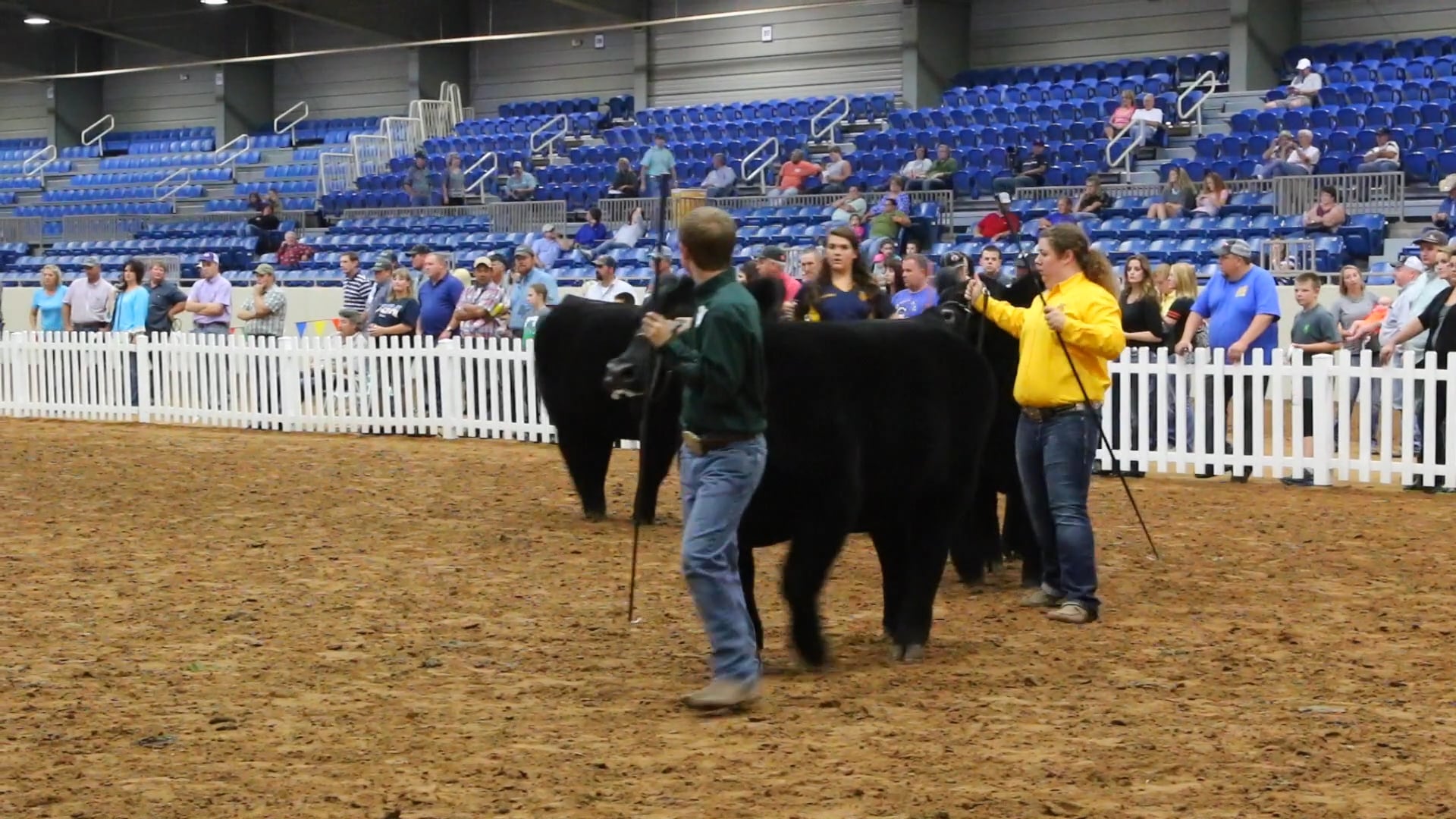 Tulsa State Fair Livestock Exhibition Brock Courtney on Vimeo