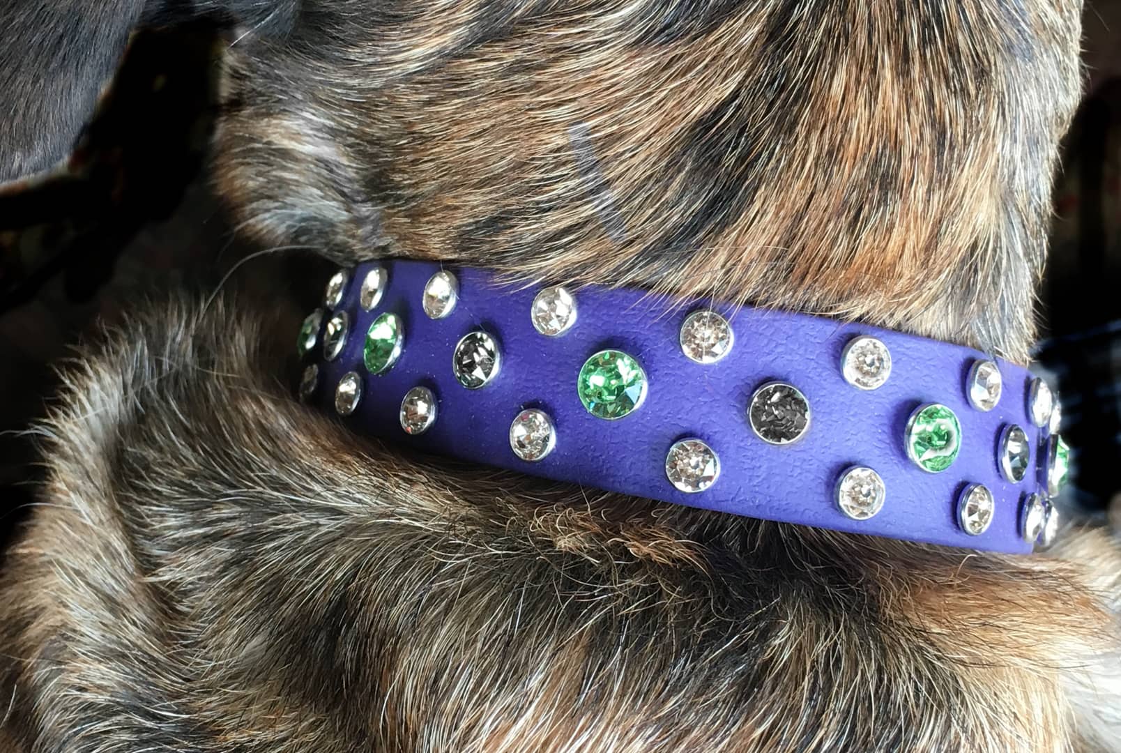 Beautiful on Brindle Dog Collar on Vimeo