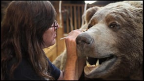Taxidermists