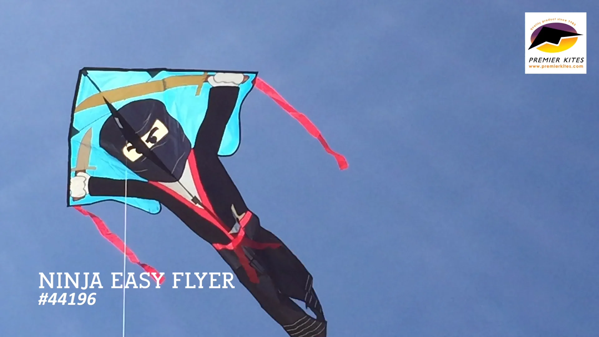 Large Easy Flyer Kite - Flying Ninja – Premier Kites & Designs