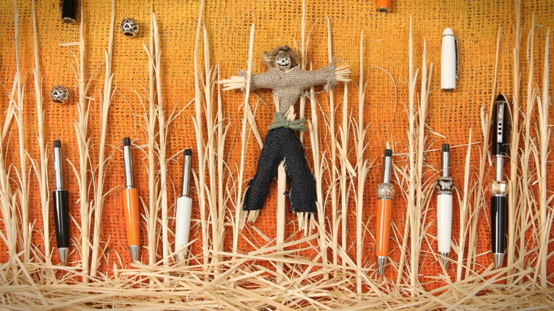 Harvest Your Creativity - Stop Motion